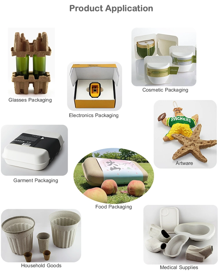 Biodegradable Packing Sugarcane Bagasse Wet Press Pulp Tray Fruit Packaging Trays