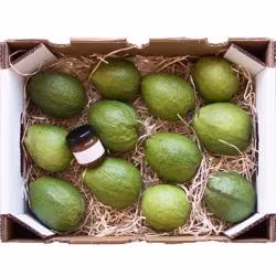 Cartones de empaquetado impresos color doble del plátano de la caja de envío de la fruta de la pared